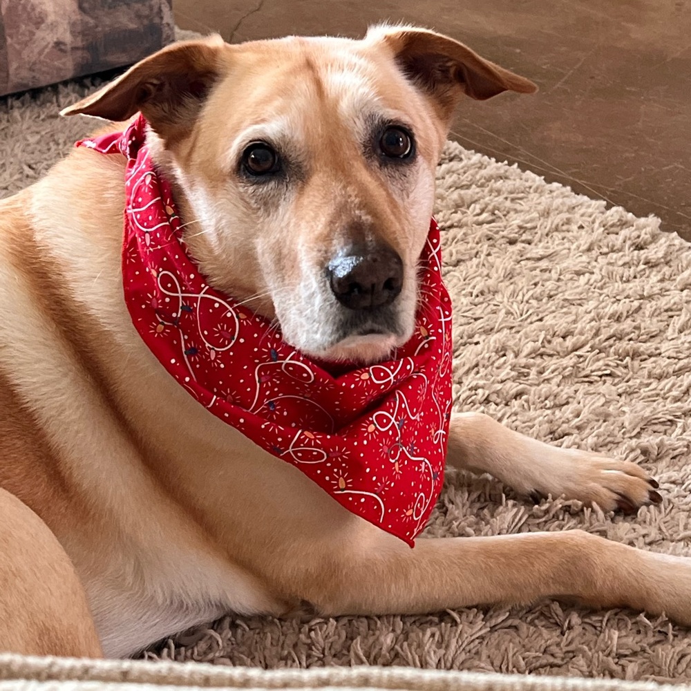 Meet your Posher, Janie